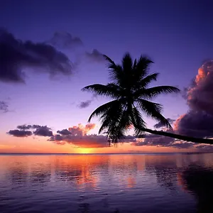 fare-kahaia.frenchpolynesia-hotels.com/